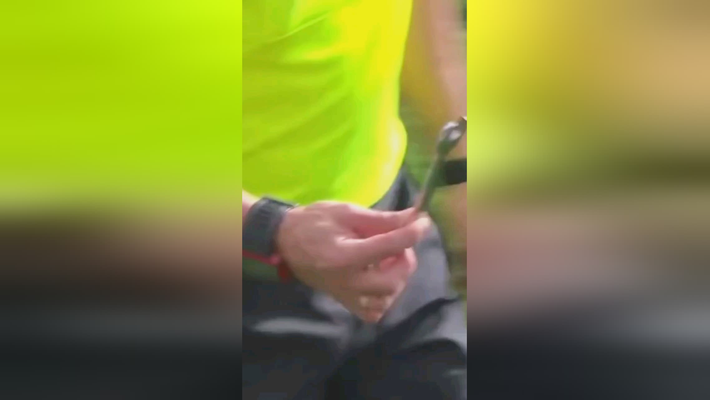 看到了某些